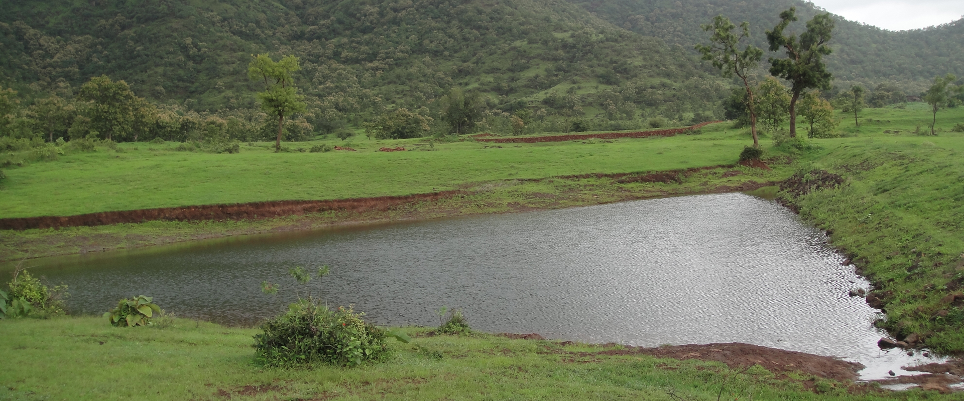 Sevenhills Wai