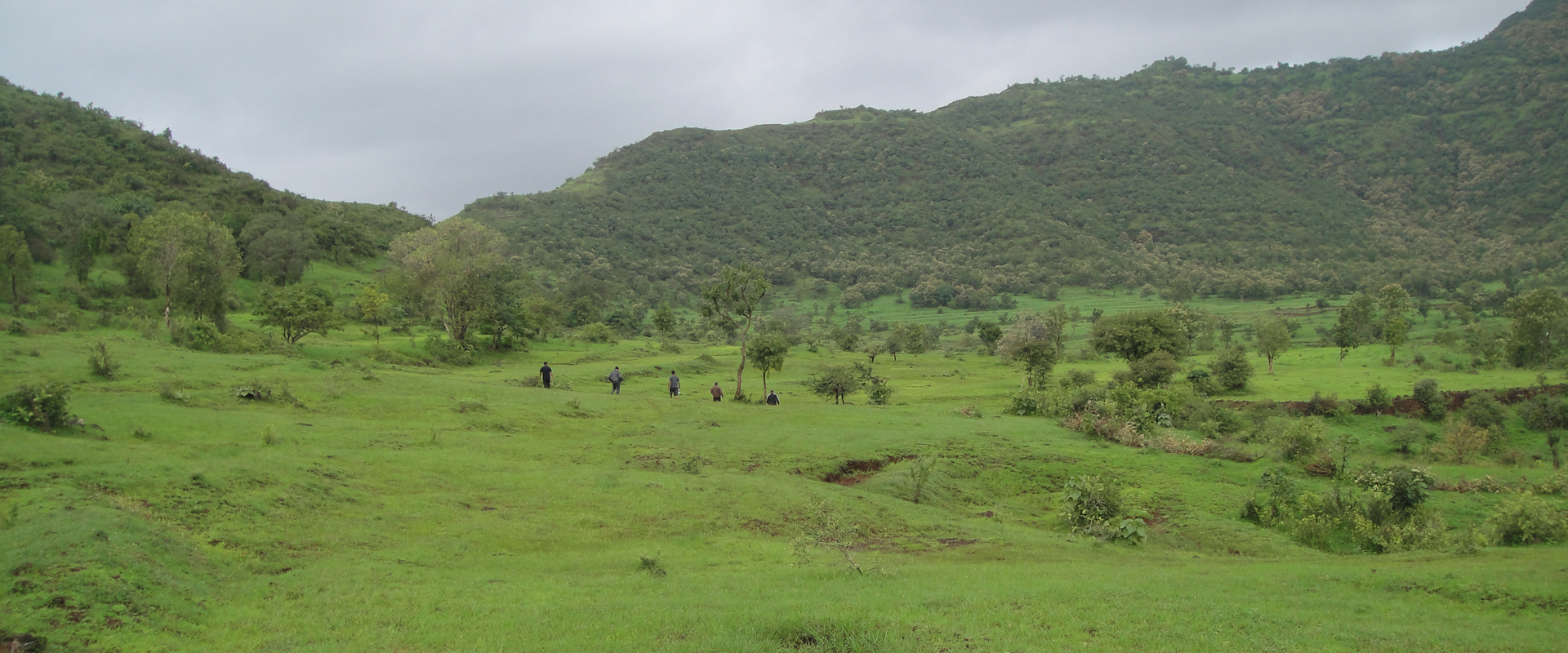 Sevenhills Wai