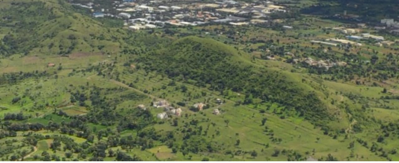 Sevenhills Wai
