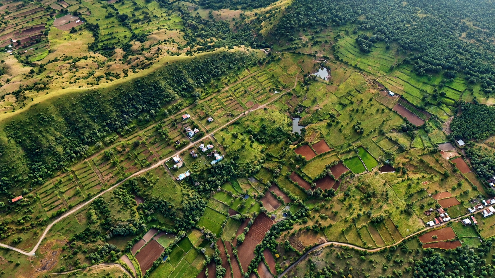 Sevenhills Wai
