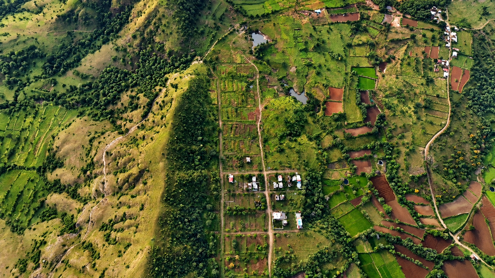 Sevenhills Wai